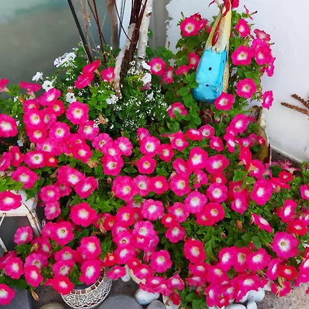 Florianihof Sankt Marxen 3* Brenndorf