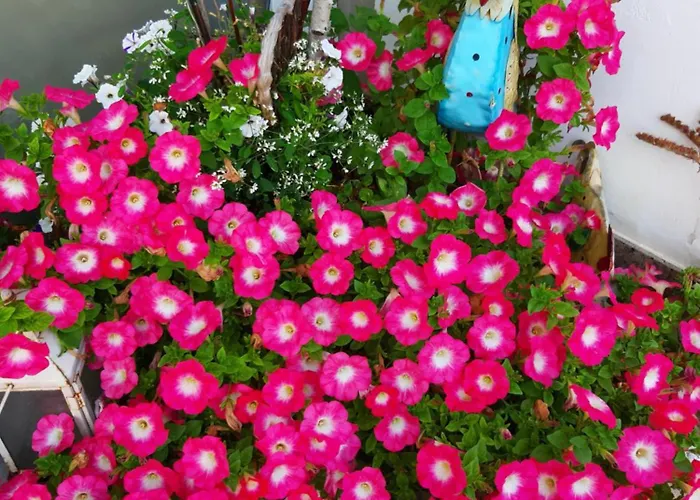 Florianihof Sankt Marxen 3* Brenndorf