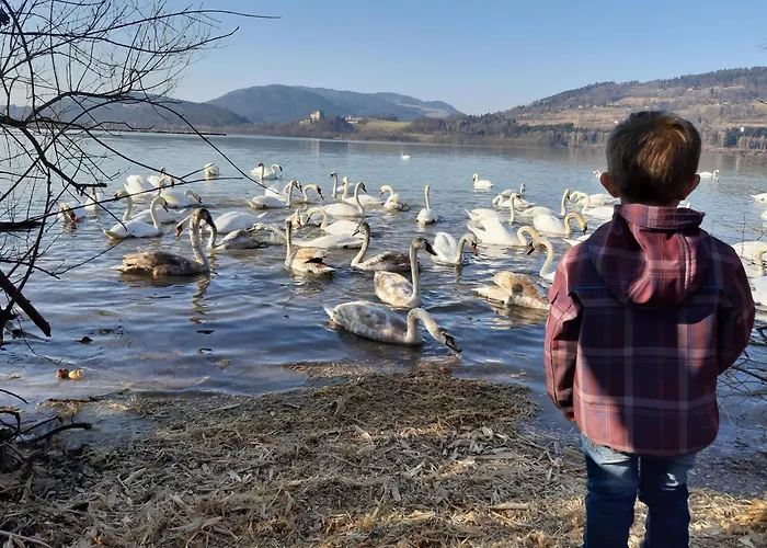 Casa de hóspedes Florianihof Sankt Marxen