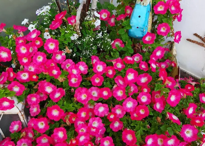 Florianihof Sankt Marxen Guest house Brenndorf